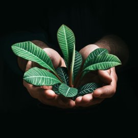 Con il Rating del Bene Comune di CAES scegliere un'assicurazione sostenibile genera benefici tangibili