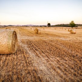 La nostra soluzione per l’agricoltura