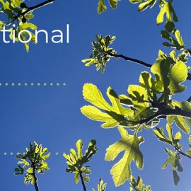 CAES partecipa al secondo Forum internazionale sull'assicurazione etica